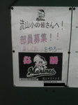 2007_11080023.jpg
